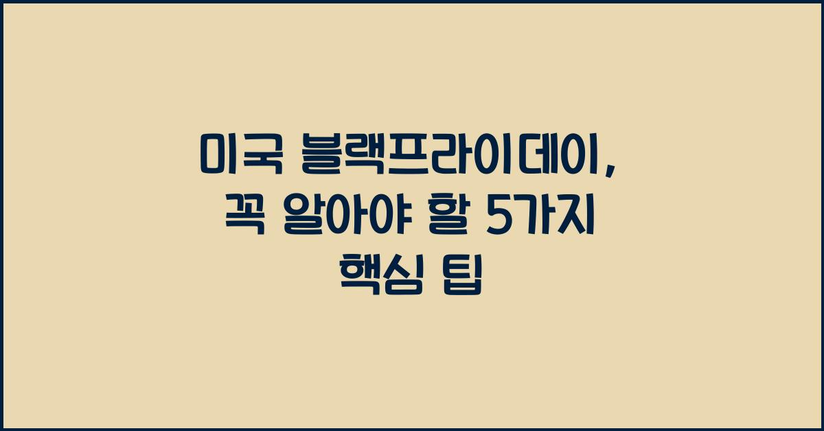 미국 블랙프라이데이