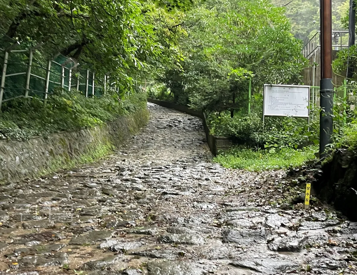 울릉도-추석가족여행-2일차-봉래폭포-입장료할인-주차정보-등산-난이도