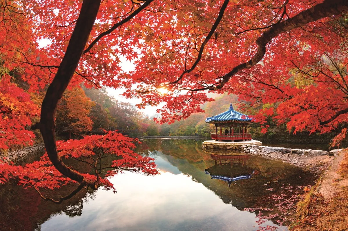 &amp;quot;내장산