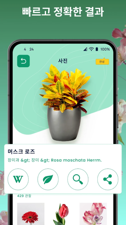 꽃이름 검색 어플, 사진으로 꽃이름 찾기