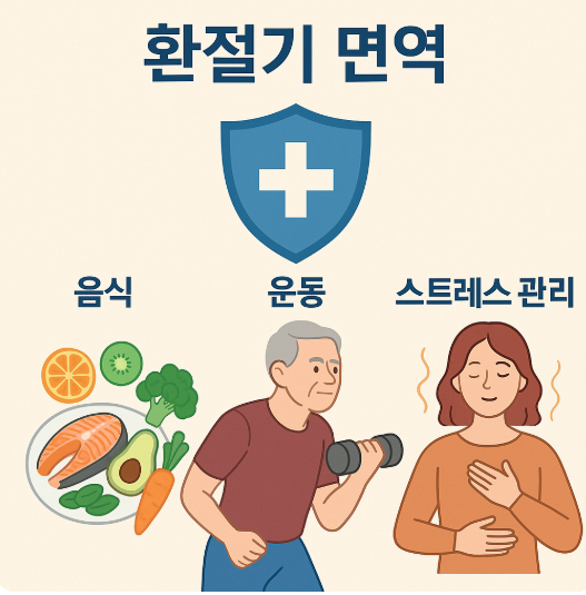 환절기 면역에 있어서 음식, 운동, 스트레스 관리의 중요성을 나타내는 이미지