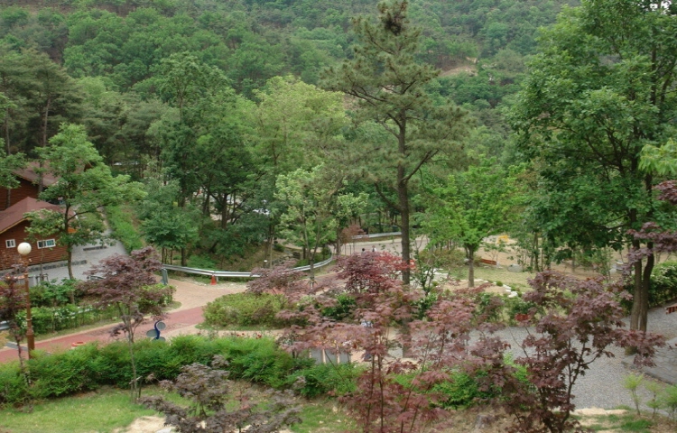 칠곡 가볼만한곳