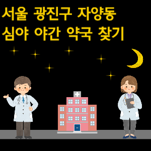 서울 광진구 자양동 심야 야간 24시 약국 찾기