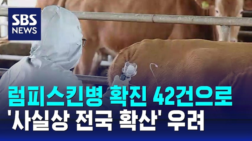 럼피스킨병 관련주
