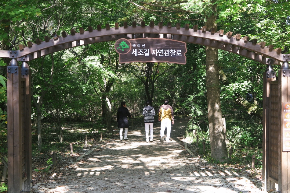 보은 가볼만한곳 베스트10