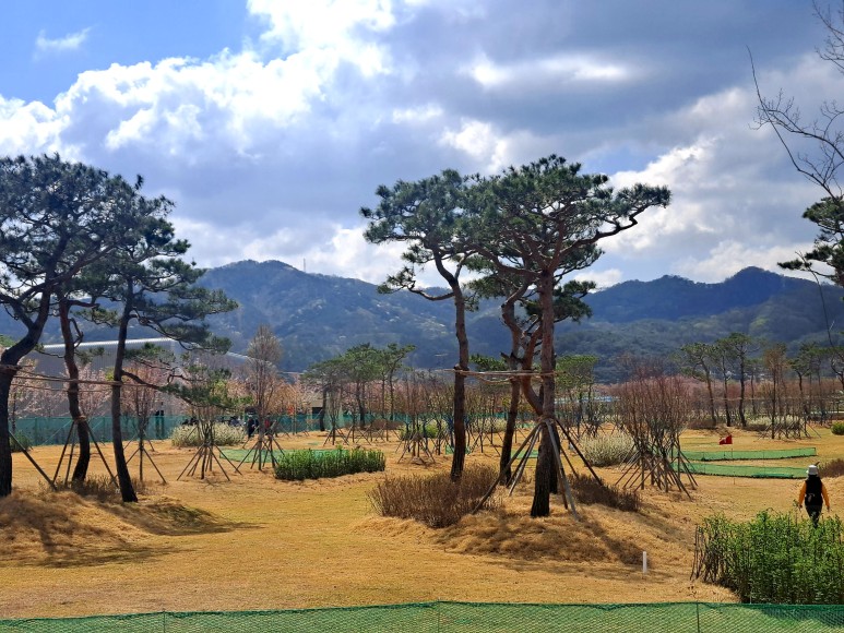 전라북도 고창 스포츠타운 파크골프장