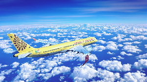 여권 갱신 긴급여권 발급 서류