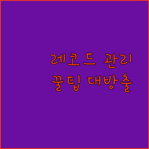비닐 레코드 완벽 관리 축음기 클리너..