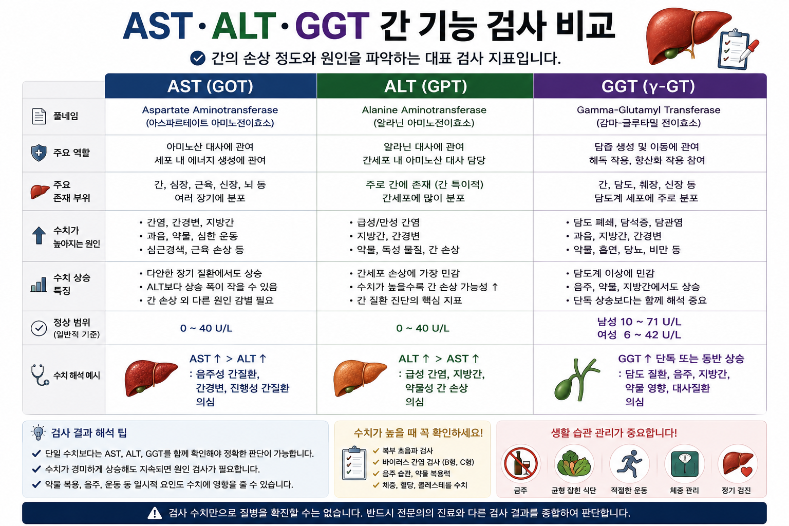 AST, ALT, GGT(감마지티피) 간 기능 검사 의 차이와 역할 비교 이미지