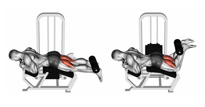 하체 운동기구 : 레그 컬 머신 사용법