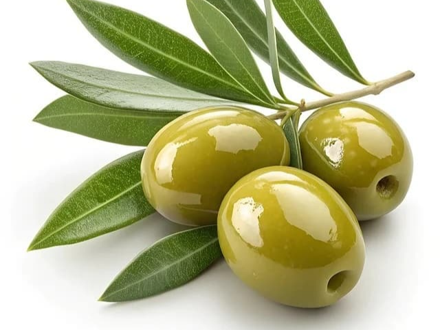 골밀도 감소 억제하는 올리브유