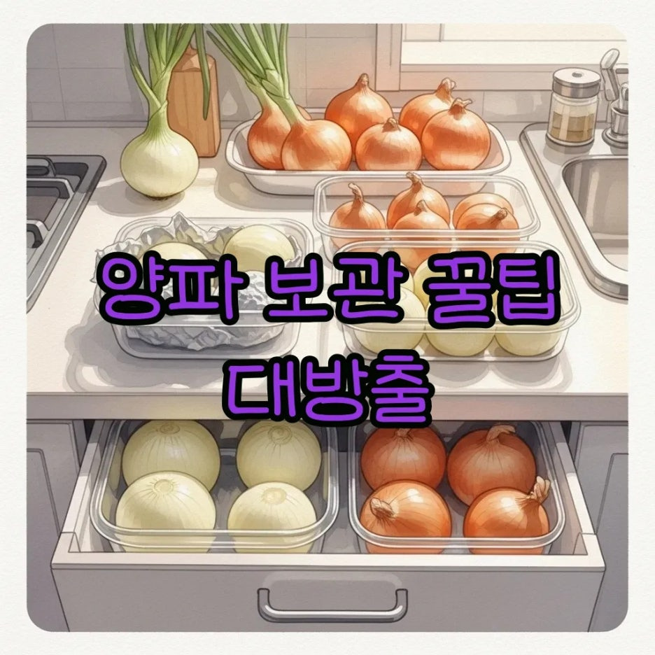 다양한 양파 보관법을 보여주는 주방 풍경