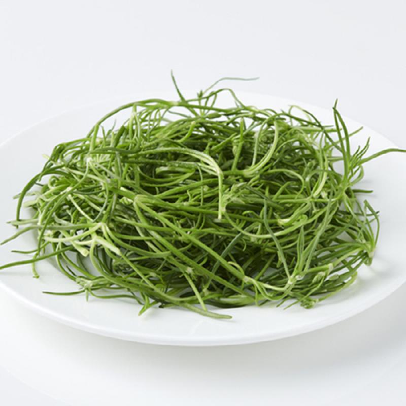 세발나물 효능 및 부작용