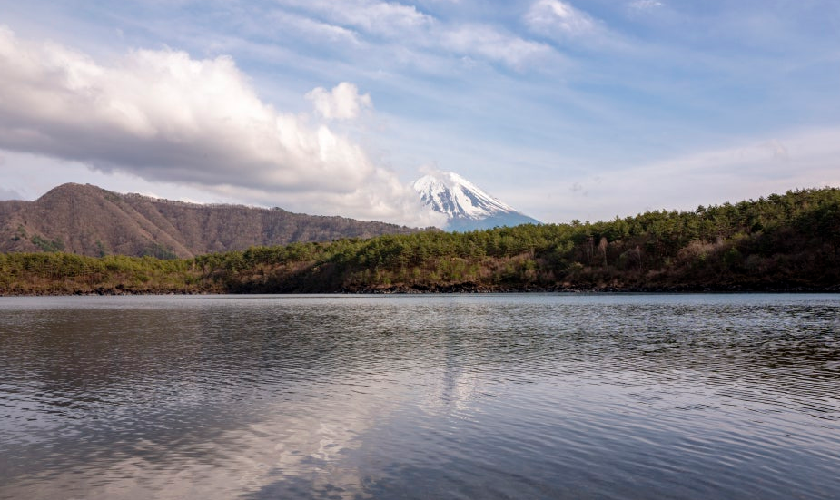 호수 배경 후지산 사진