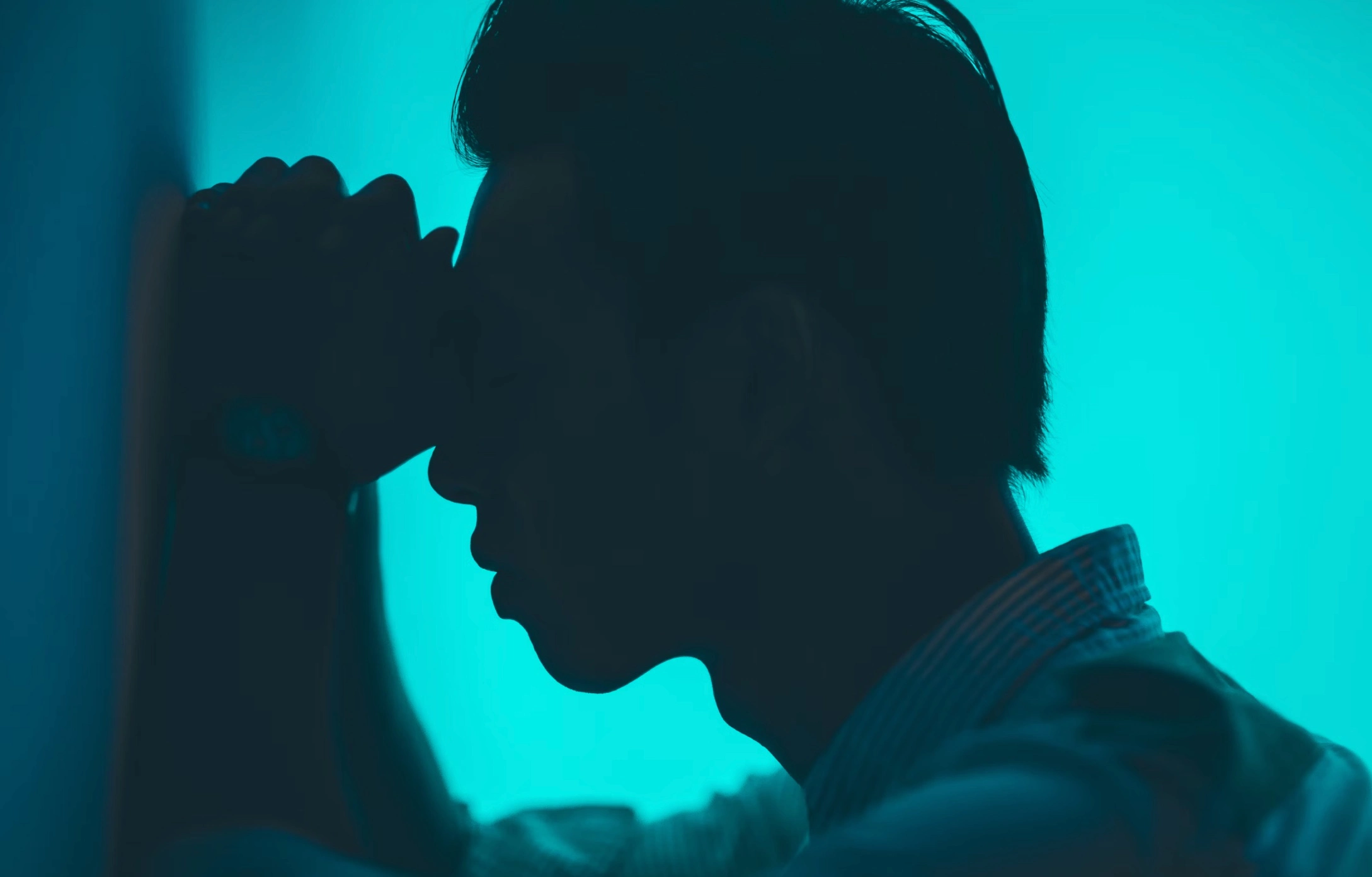 렙토스피라증 원인