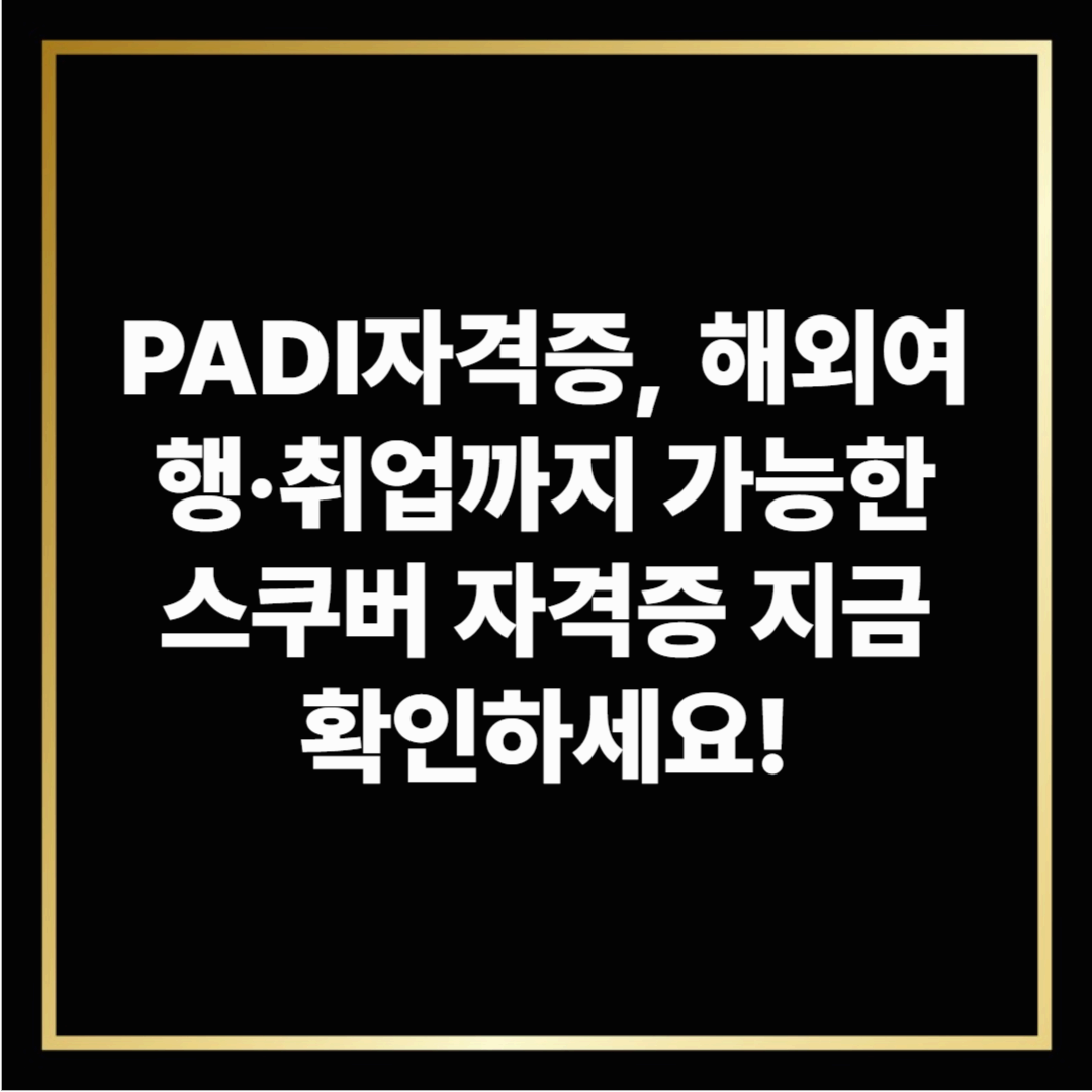PADI자격증, 해외여행·취업까지 가능한 스쿠버 자격증 지금 확인하세요!