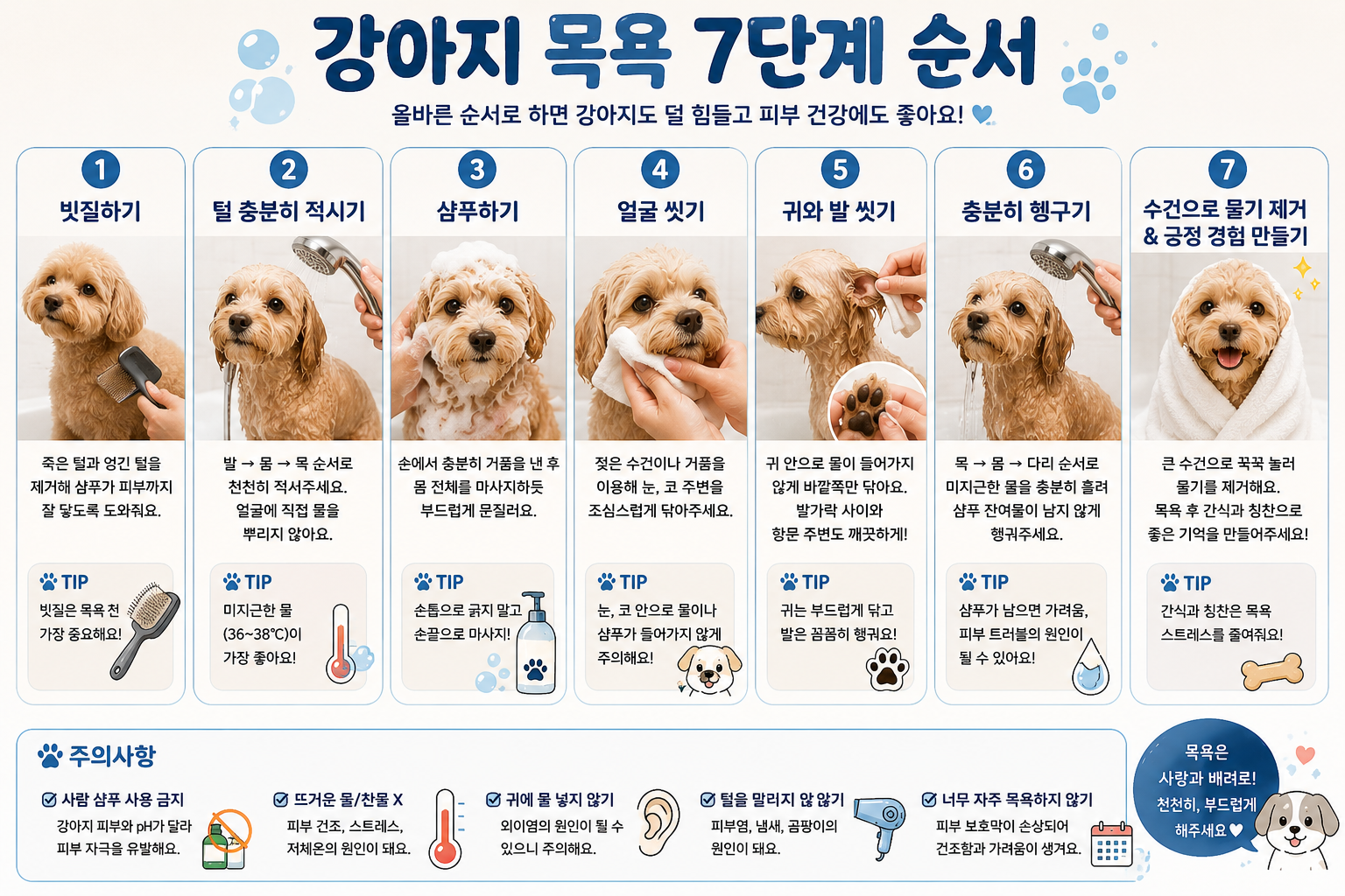 강아지 목욕 7단계 순서 이미지, 강아지 목욕 방법, 강아지 목욕 순서, 강아지 샴푸 방법, 강아지 얼굴 씻기, 강아지 귀 물 안 들어가게, 강아지 발 씻는 방법, 강아지 헹구는 방법, 강아지 목욕 후 말리기, 강아지 목욕 가이드