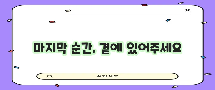 고양이 임종 과정 이해하고 이별을 준비해야 합니다