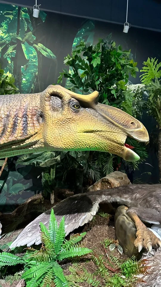 용인실내 아기랑 갈만한 곳 기흥 다이노베이