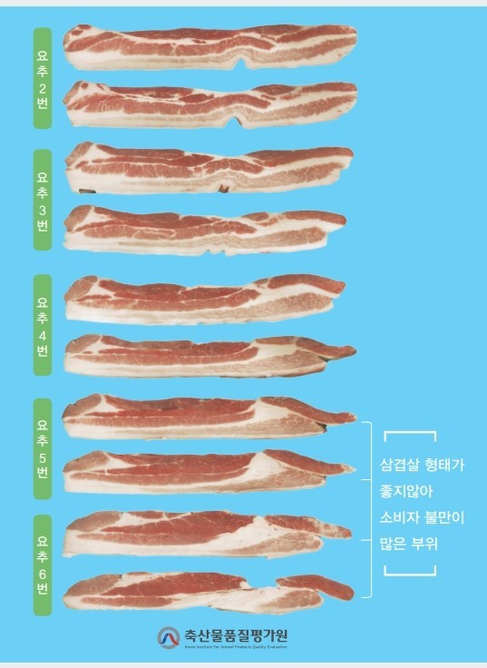 삼겹살 고르는법 6