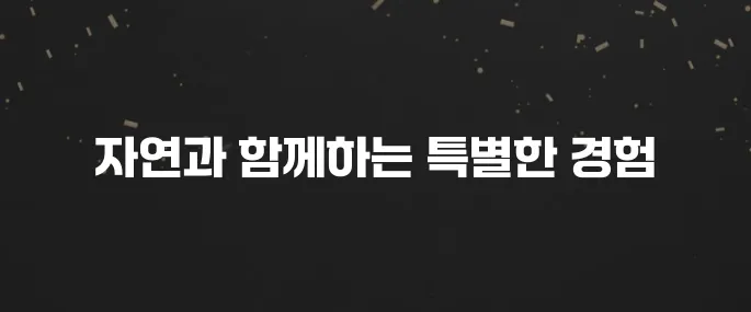 자연 속 힐링! 국립 생태탐방원 예약 방법 및 프로그램 안내