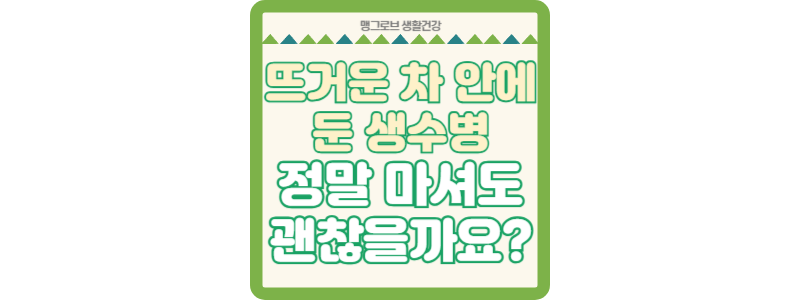 뜨거운 차 안에 둔 생수병, 정말 마셔도 괜찮을까요 썸네일