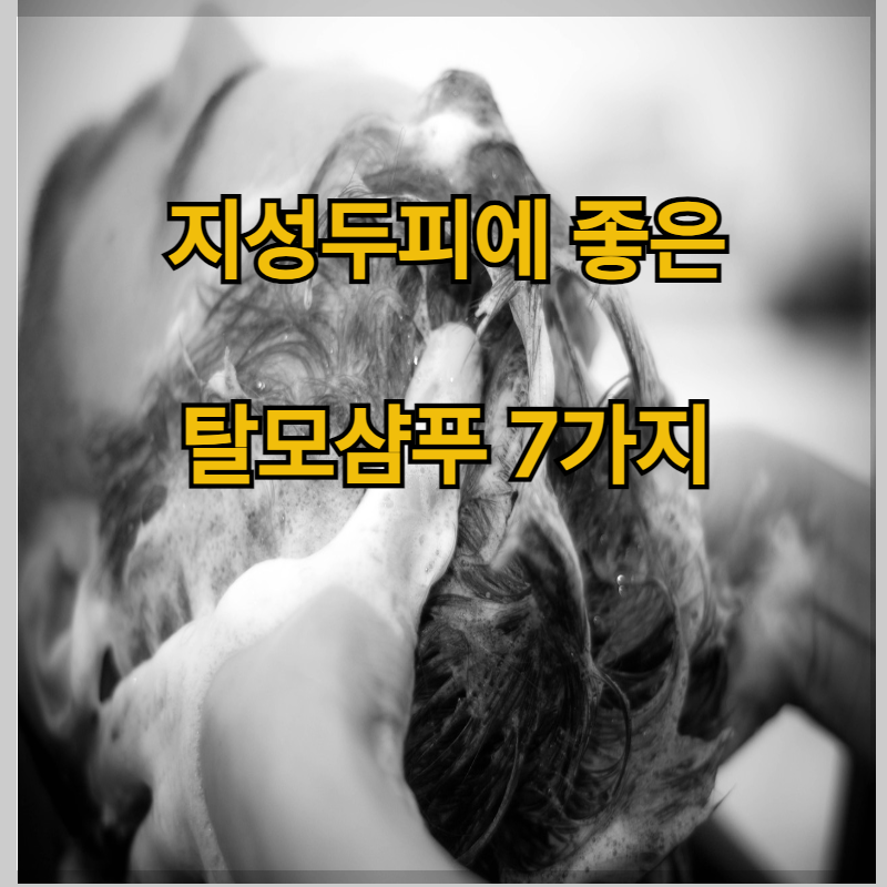 지성두피에 좋은 탈모샴푸 7가지