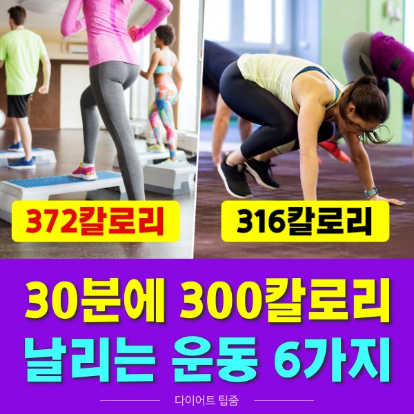 300칼로리 운동 추천 에어로빅 스텝박스 운동효과 칼로리 소모량 지방 태우는 운동 일립티컬 스텝퍼 추천, 다이어트 건강 팁줌 매일꿀정보
