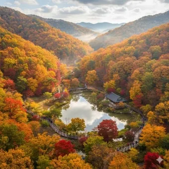 화담숲 단풍 절정시기 예약 방법까지 정리_11