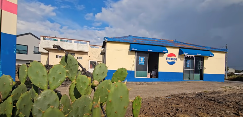 월령-선인장군락지