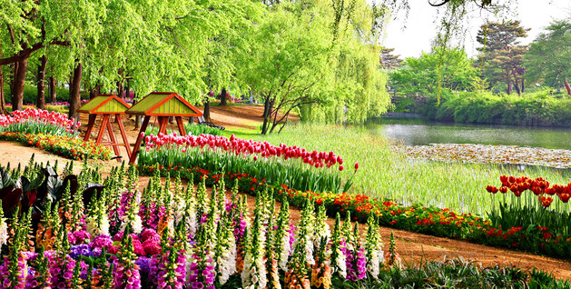 일산호수공원 꽃박람회 사진