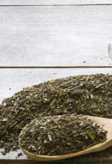 녹차 말차 차이