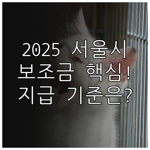 2025 서울시 보훈 대상자 생활보조..