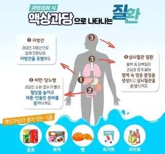 액상과당 종류 특성 유해성 판단_11
