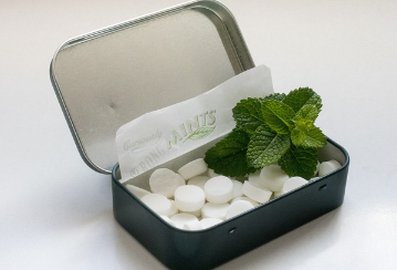 탈모 샴푸 추천 – 선택 기준과 효과적인 성분