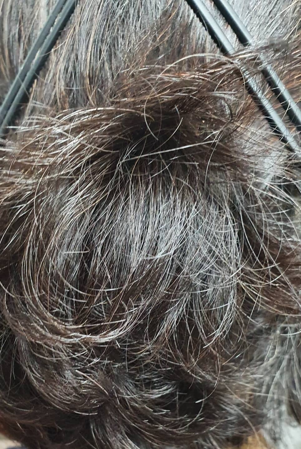 실크테라피 오리지널