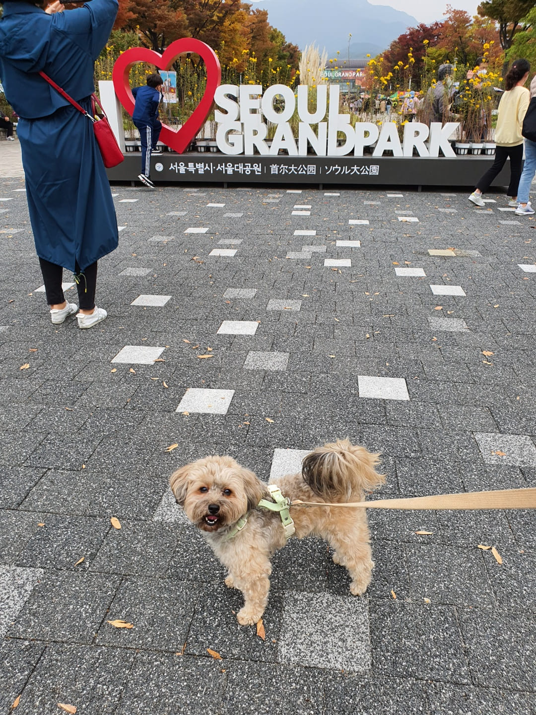 서울대공원 입구길