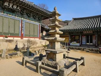 서산 개심사 청벚꽃 개화시기 명소_18