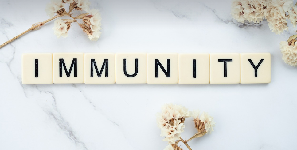 건강한 장을 위한 식습관: 장 건강이 면역력의 핵심! 관련 사진