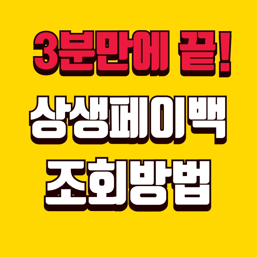 부산 대구 상생페이백 조회 방법과 혜택 총정리