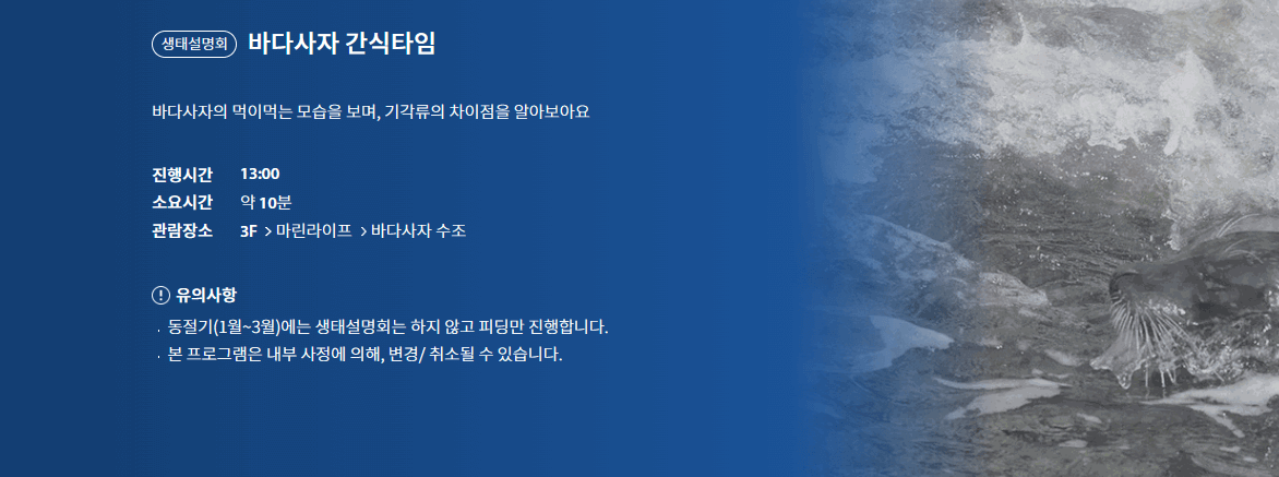 여수 아쿠아플라넷