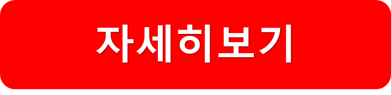 코덱스S&P환헤지형