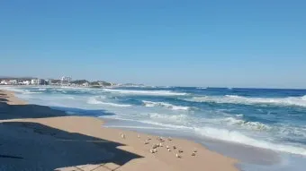 속초 바람 방향 영금정 산책 계단 휴식 포인트 소개_21