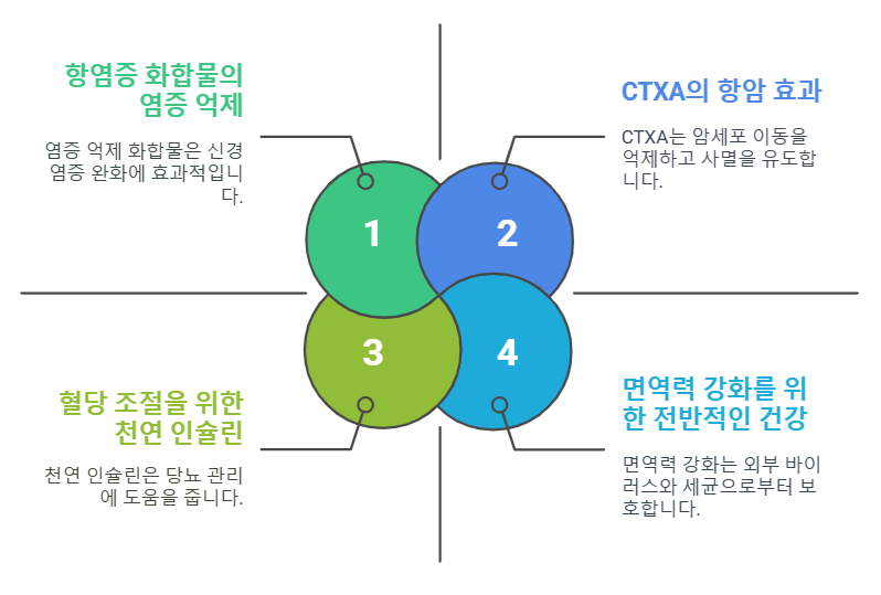 꾸지뽕 뿌리의 효능