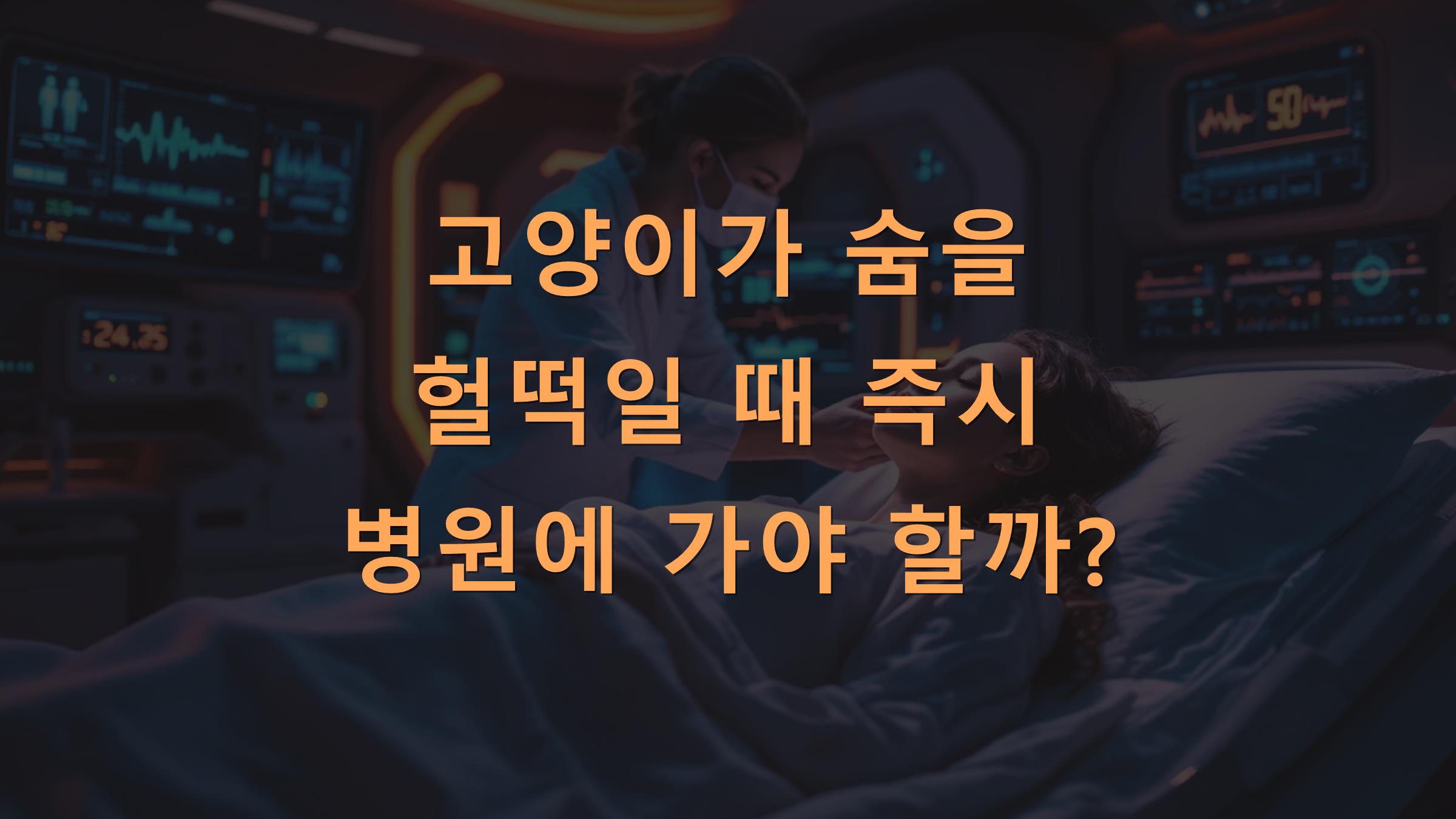 고양이가 숨을 헐떡일 때 즉시 병원에 가야 할까?