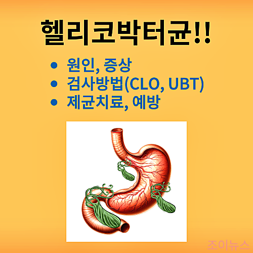헬리코박터균의 원인, 증상, 검사, 제균치료