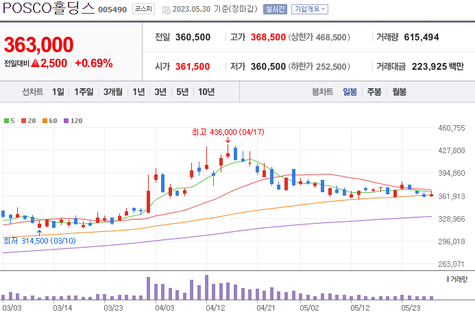 POSCO홀딩스 [005490]