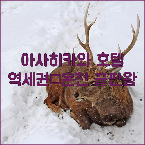 아사히카와 호텔 추천 역세권 숙소 5..
