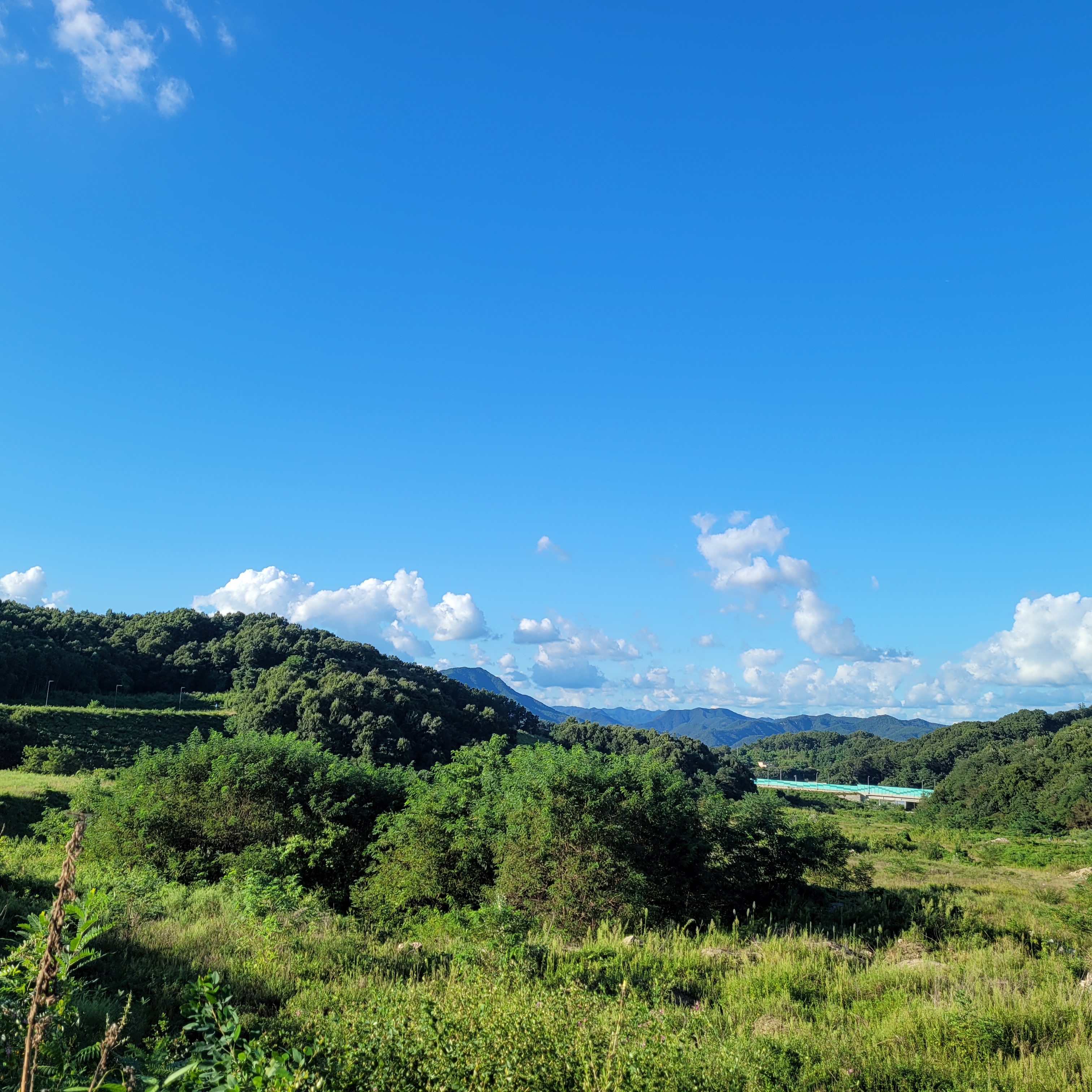 토지 투자에서 건축법상 도로가 중요한 이유