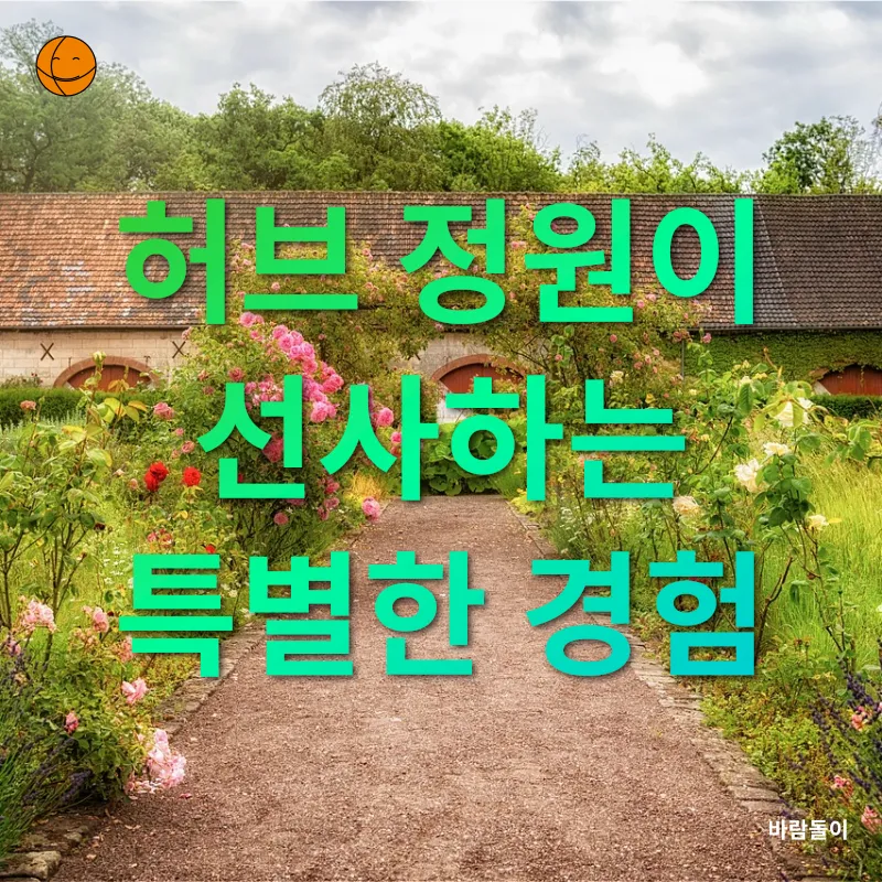 실내 허브 정원_3